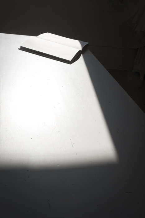 http://bertrandcarriere.com/files/gimgs/th-111_29_v3.jpg