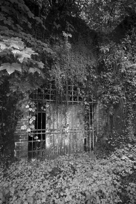 http://bertrandcarriere.com/files/gimgs/th-111_48_v3.jpg