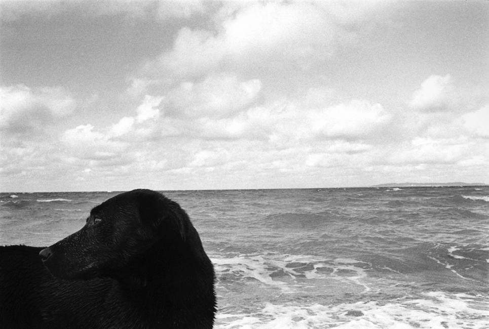 http://bertrandcarriere.com/files/gimgs/16_22voyageadomicile.jpg